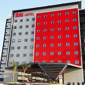 Ibis Irapuato